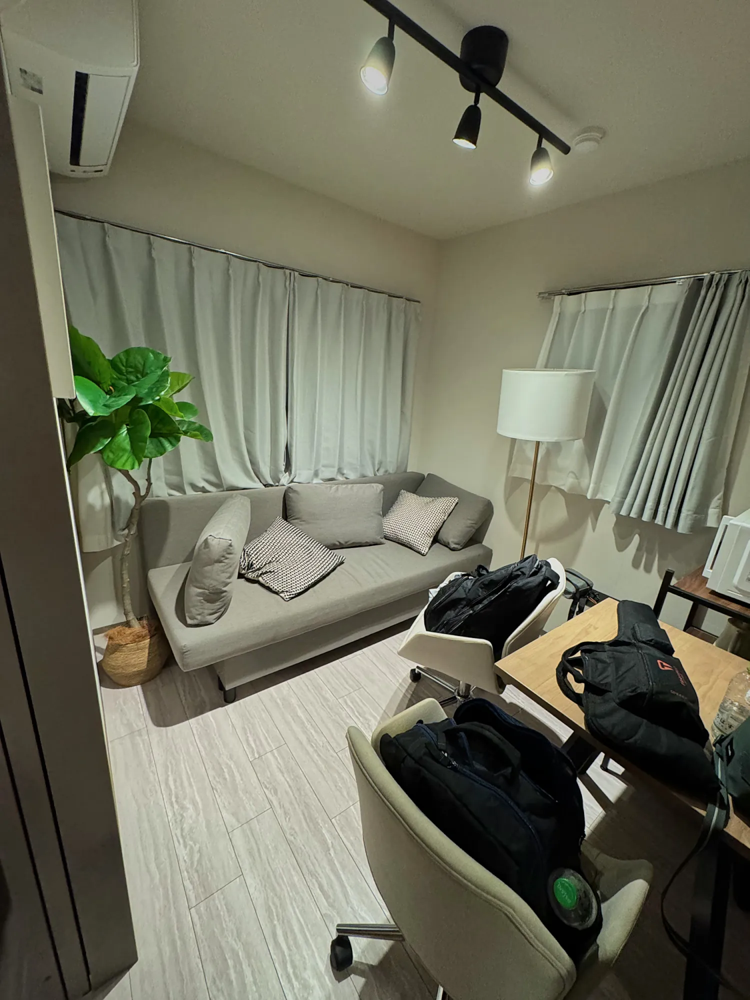 A small, bright apartment living room in Shinjuku with a gray sofa, a floor lamp, a potted plant, and our bags beside a desk chair.