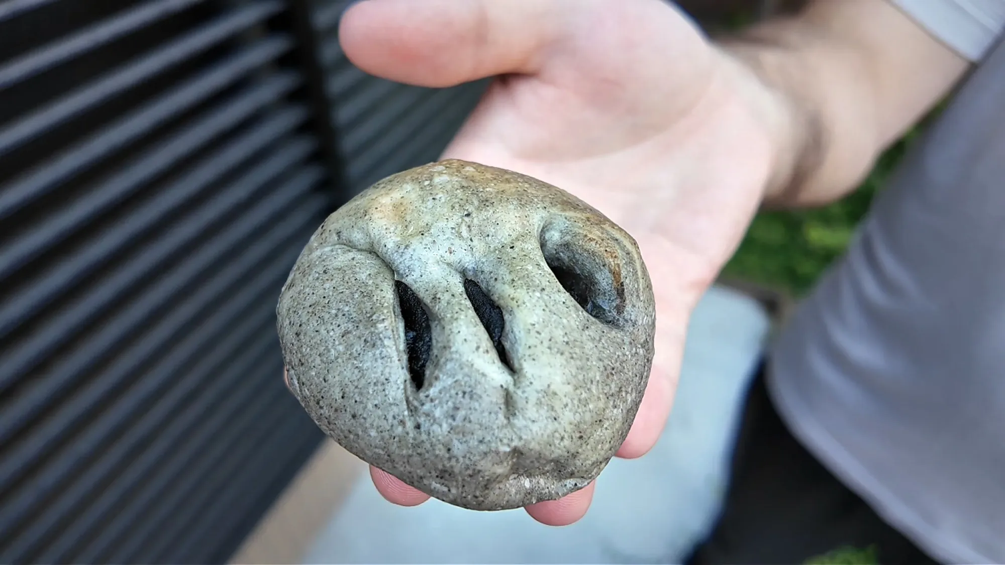 A round black sesame and red bean bun with a cat-paw shape held up outside in Shinjuku