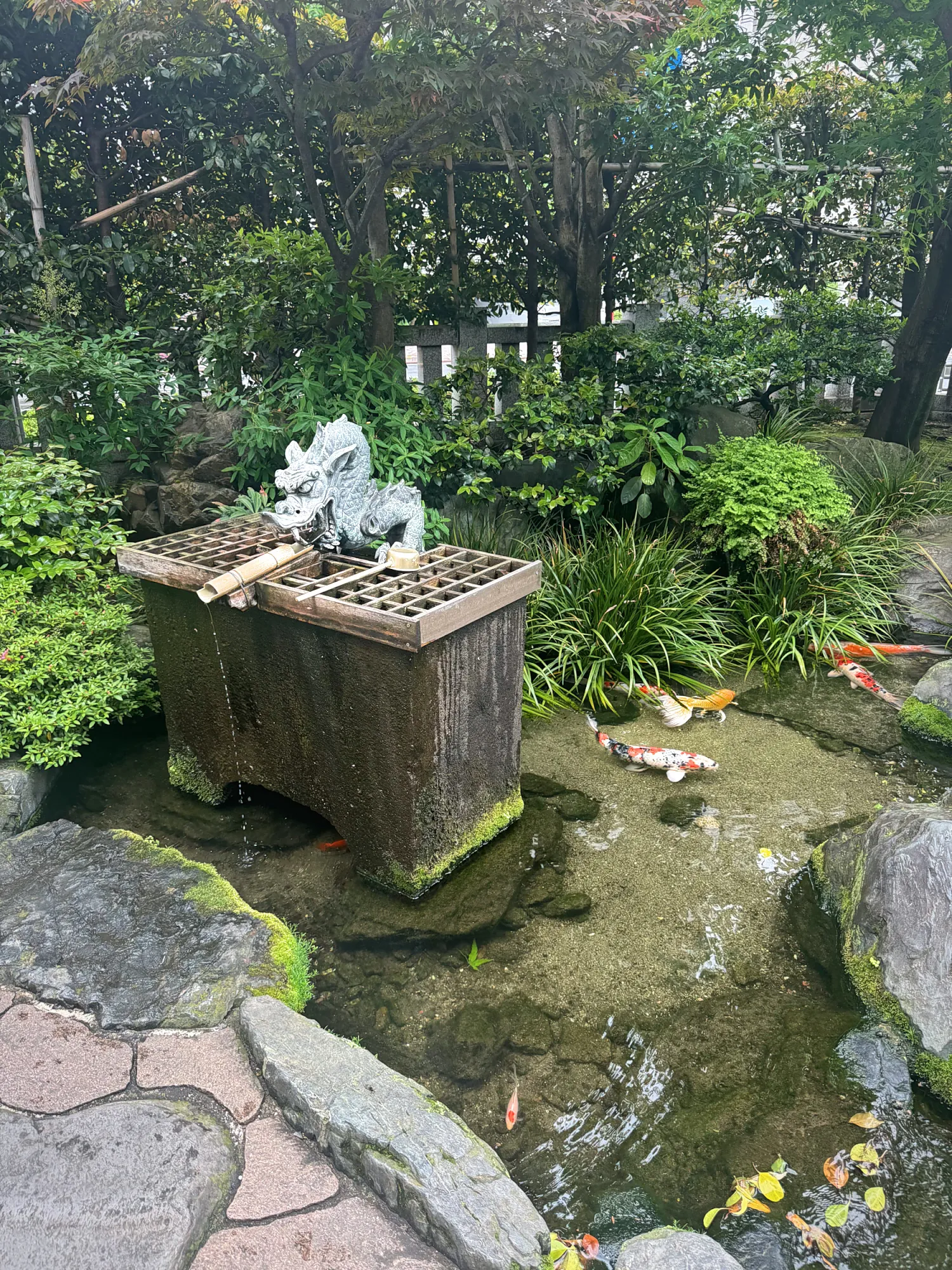 A small shrine garden in Shinjuku with a stone dragon fountain pouring water into a koi pond surrounded by green plants, Tokyo.