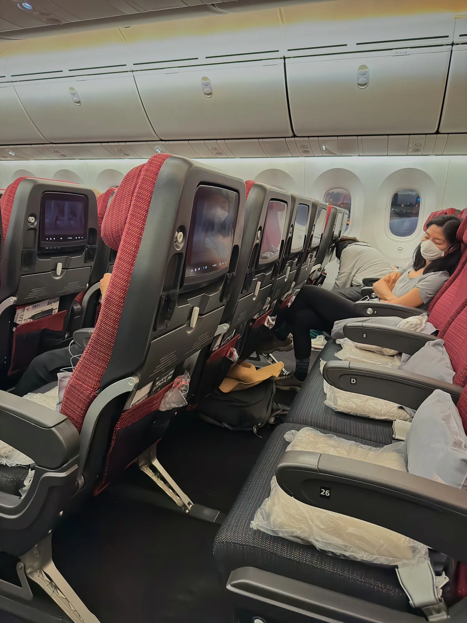 Rows of seats with seatback screens and passengers resting on a long-haul flight to Narita Airport, Japan.