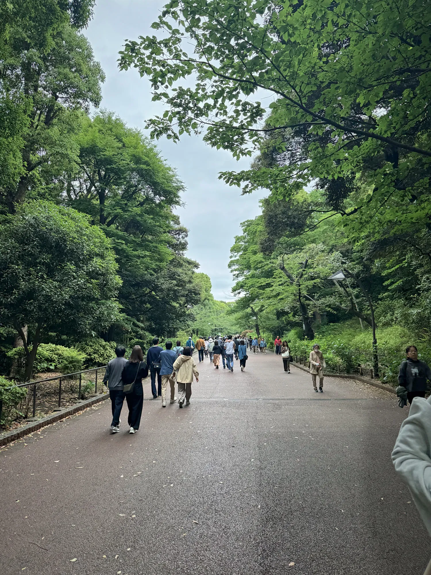 People strolling down a wide path through a leafy green park in Tokyo in late spring.