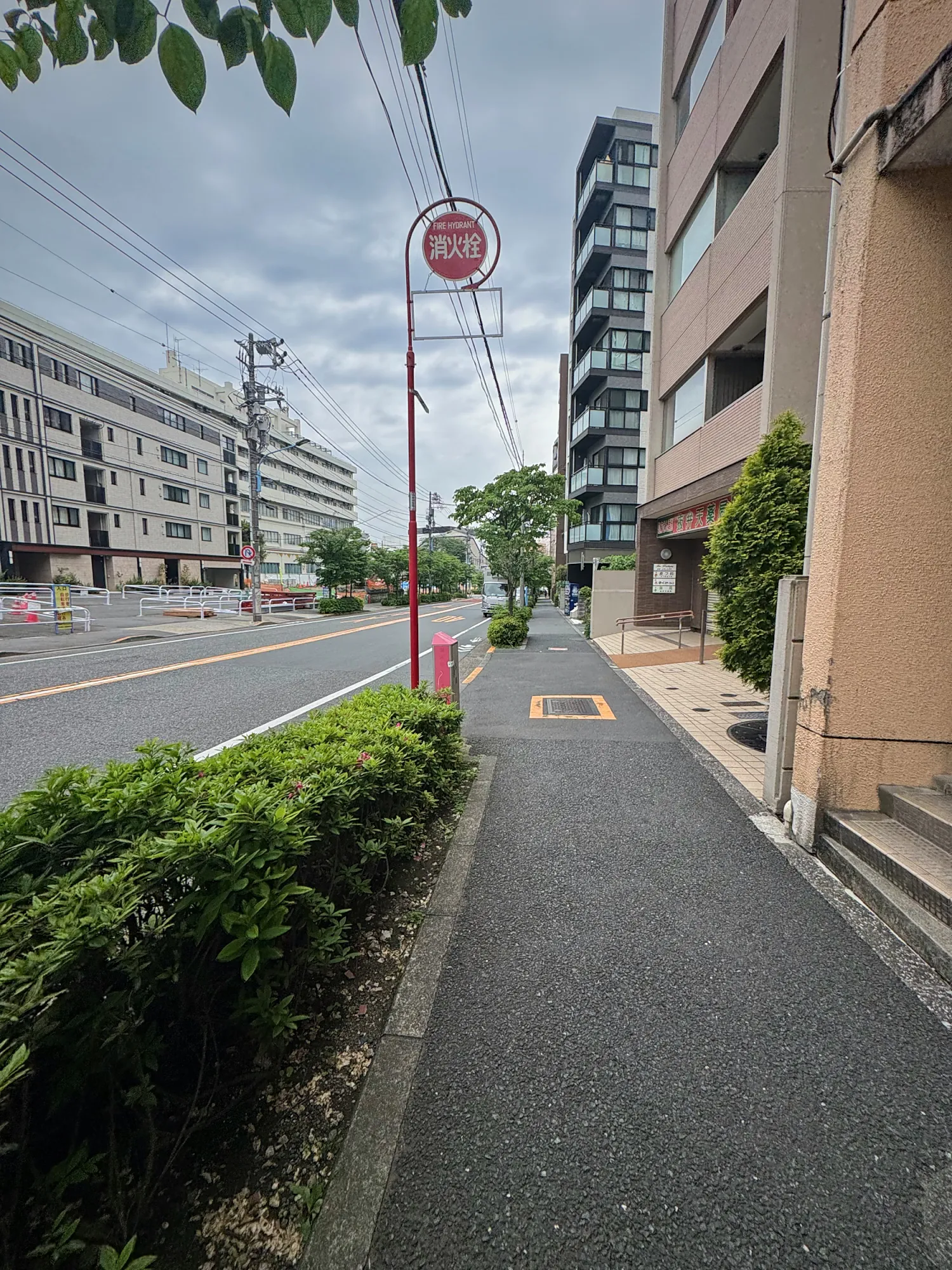 An empty sidewalk beside a quiet road near our apartment in Wakamatsu-cho, Shinjuku, Tokyo, lined with hedges and mid-rise apartment buildings.