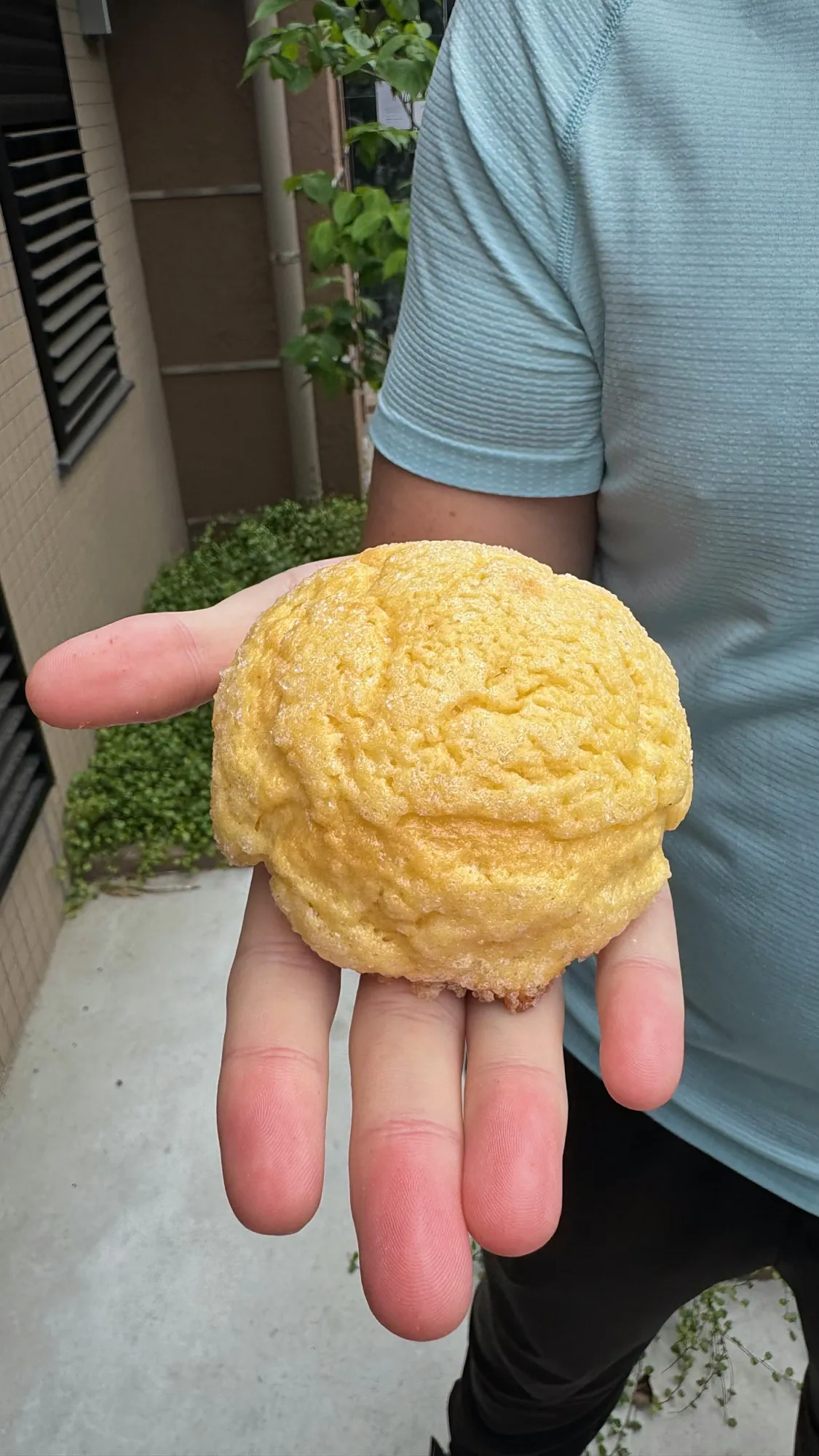 Holding a golden melon pan with a crackly sugar crust outside a bakery in Shinjuku