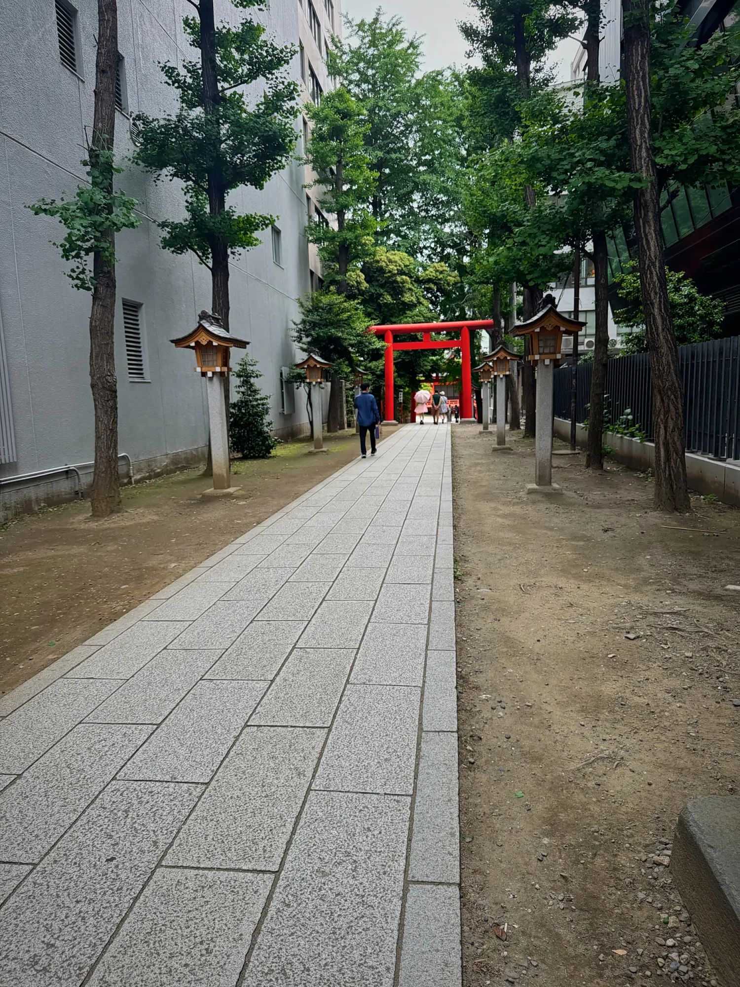 A quiet stone path lined with trees and lanterns leading to a red torii gate at a small shrine in Tokyo.