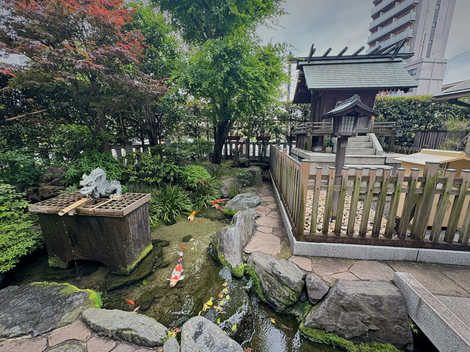 A small shrine hall behind a garden koi pond near our apartment in Shinjuku, Tokyo.