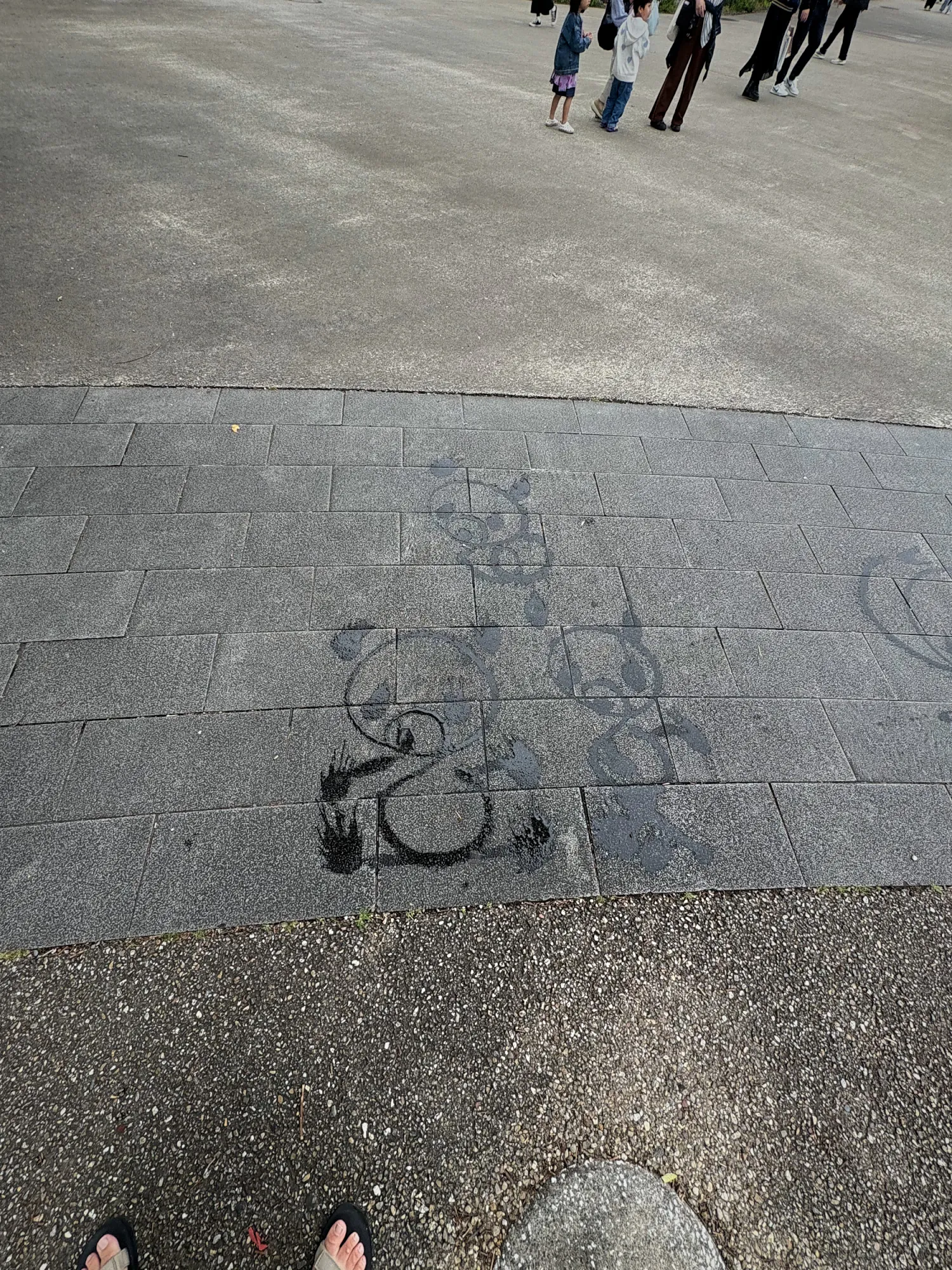 Pandas drawn with water on the stone pavement in Ueno Park, Tokyo.