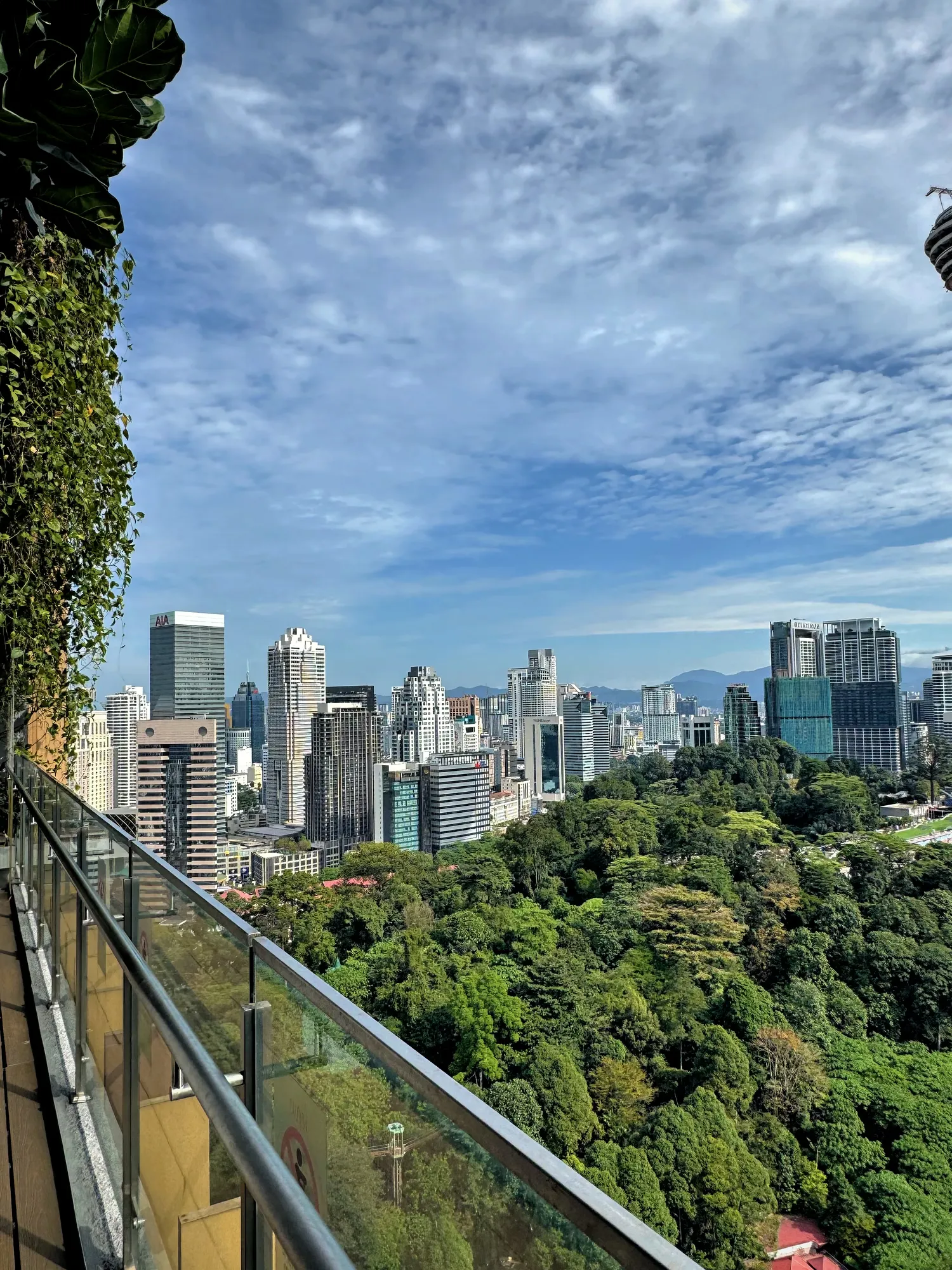 A balcony with climbing green vines looking out over KL Forest Eco Park and the downtown skyscrapers of Kuala Lumpur