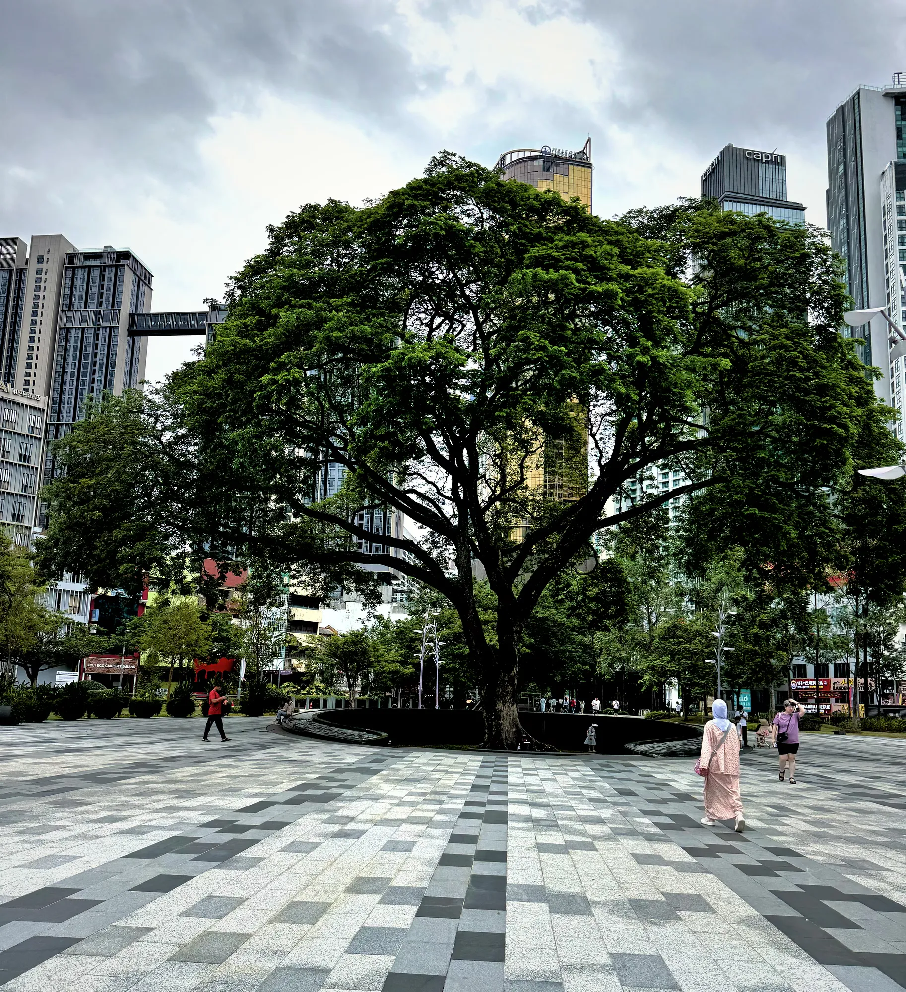 A large rain tree in the tiled plaza of TRX City Park, with modern Kuala Lumpur towers behind it.