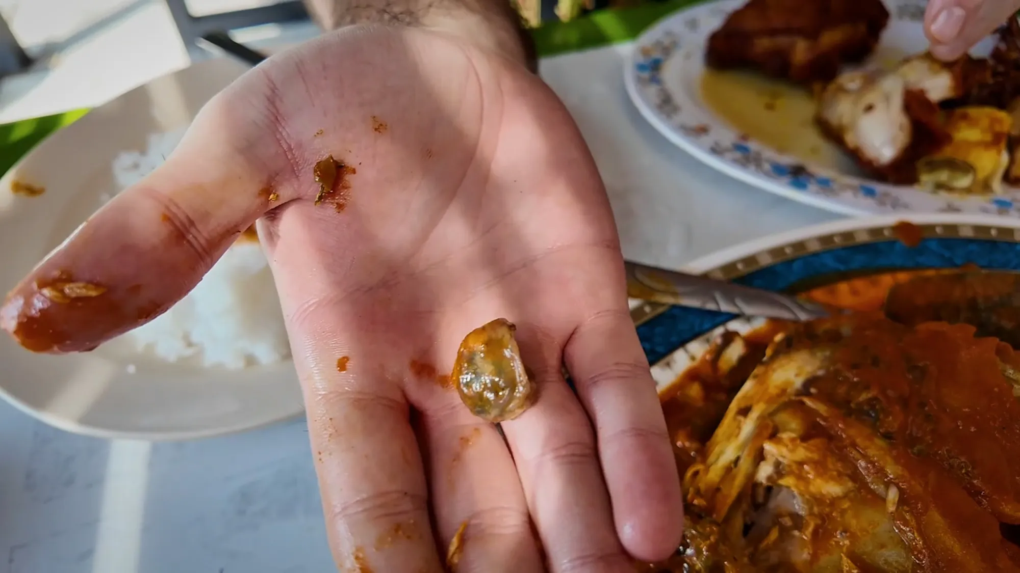Close-up of a hand holding a fish eye.