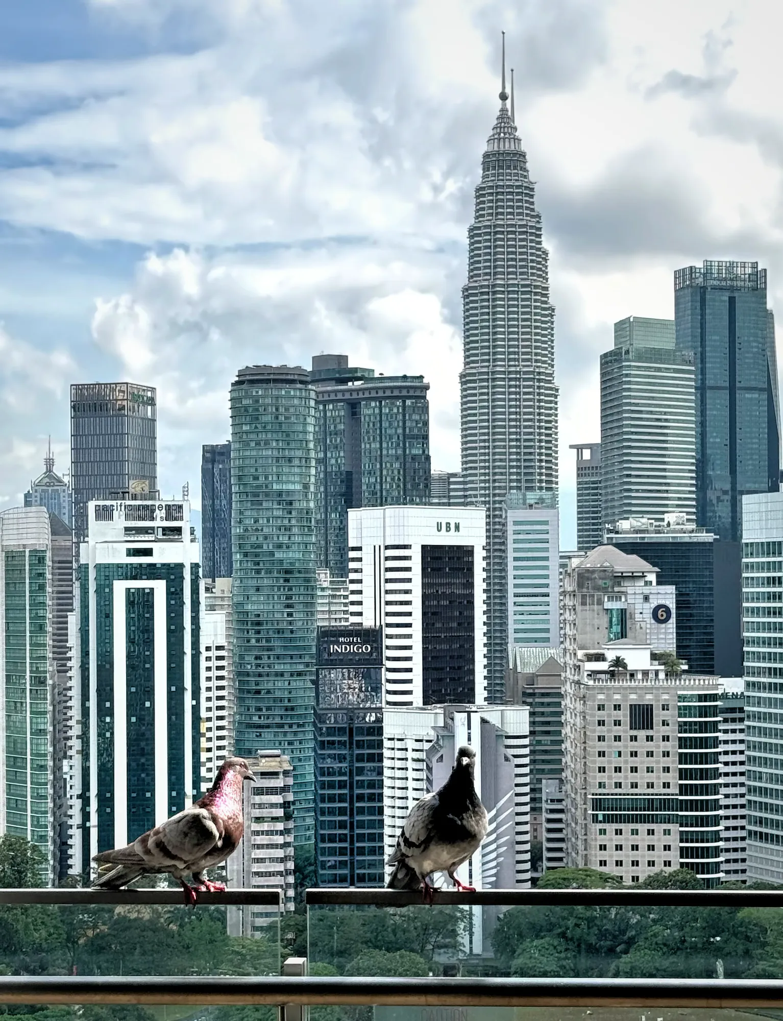 Two pigeons on a glass railing at Ceylonz Suites with the Petronas Twin Towers rising behind them on a bright day.